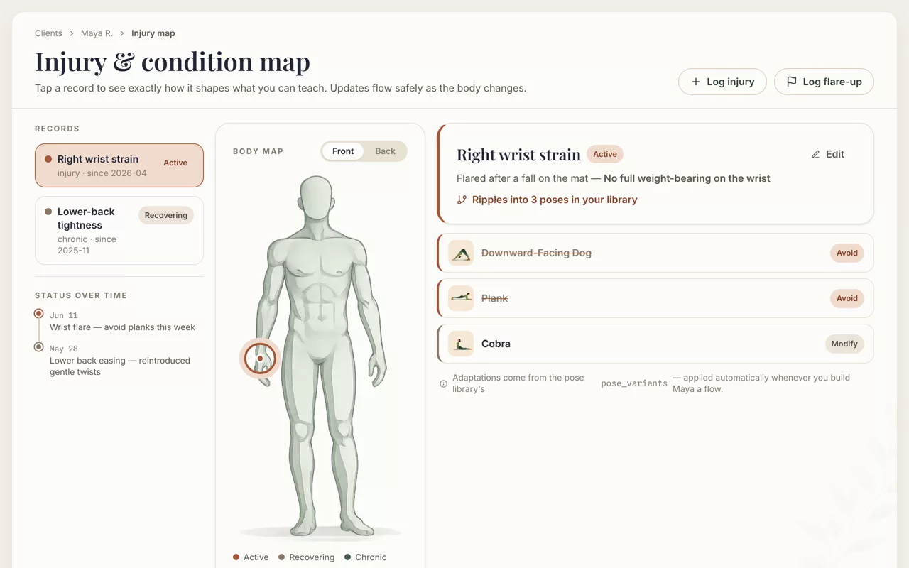 A client's injury & condition map